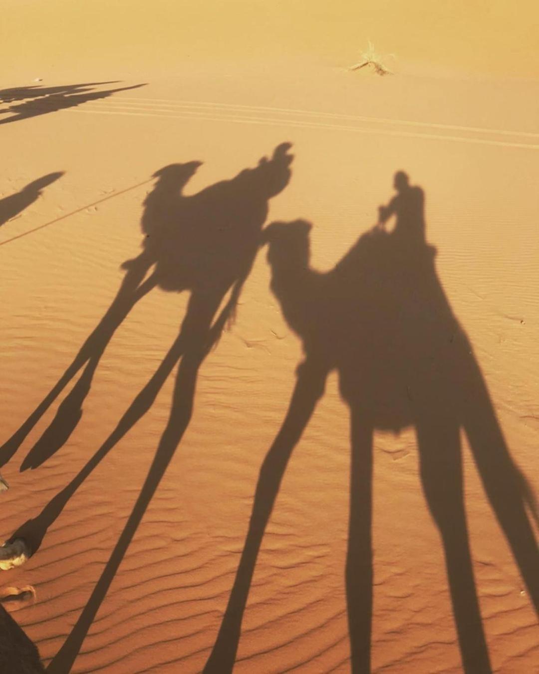 מרזאוגה Desert Lover'S Luxury Camp מראה חיצוני תמונה